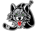 dundurnminorhockey